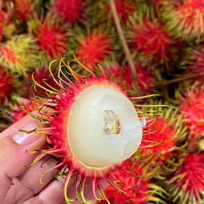包邮整箱泰国红毛丹水果毛荔枝现摘现发热带当季新鲜孕妇水果