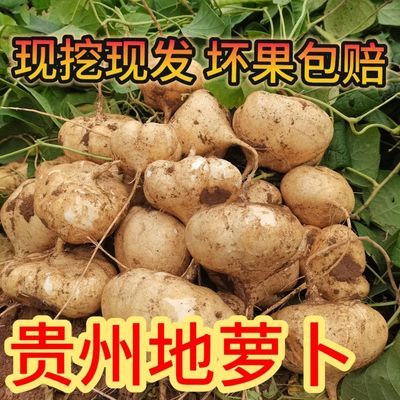 贵州新鲜当季现挖凉薯白地瓜生吃脆甜白心红薯板栗薯番薯水果大果