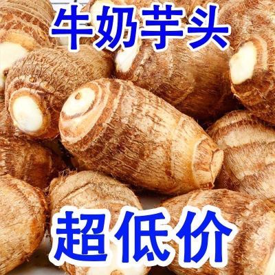 【万人抢购】山东新鲜小芋头毛芋头香芋软粉糯芋艿应季芋头新鲜