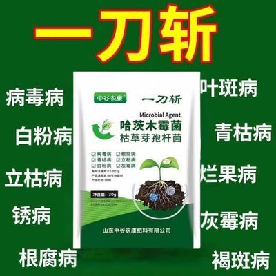 正品进口一刀斩哈茨木霉微生物菌剂菌哈茨木霉菌真细抗重茬瓜果蔬