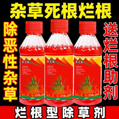 强力除草剂烂根死根连根烂斩草除根杂草一扫光老牌子草甘膦批发