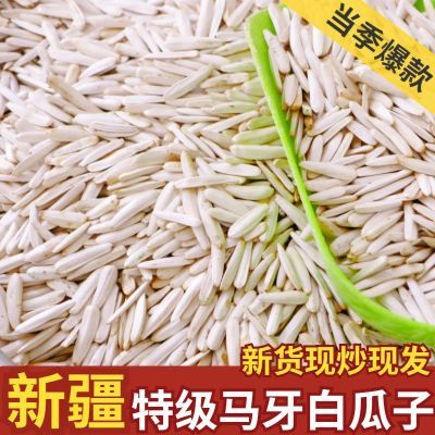 【正宗新疆】阿苏尖下巴马牙瓜子熟白皮牙签瓜子炒货零食批发长粒