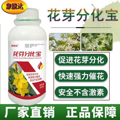 正品花芽分化宝授粉坐果瓜果蔬菜促进花芽分化增产增收叶叶面批发