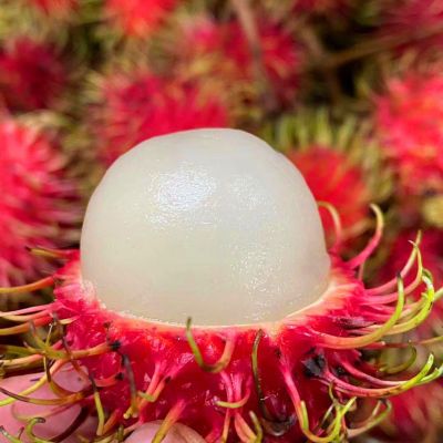 整箱批发红毛丹新鲜毛荔枝当季水果热带水果现摘新鲜包邮