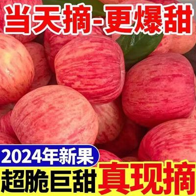 正宗陕西脆甜红富士当季应季新鲜水果1-10斤冰糖心丑苹果整箱批发