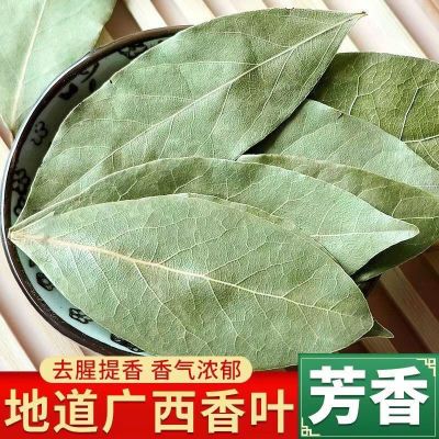 广西香叶家用天然叶足月桂香料商优质调料卤料桂皮八角花椒批发