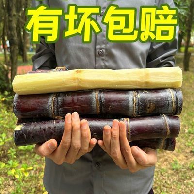 广西黑皮甘蔗当季新鲜水果脆甜多汁应当季孕妇甜杆果蔗整箱特产