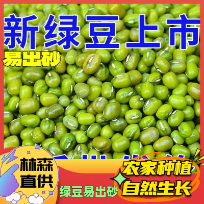 绿豆批发东北农家真空便宜特级绿豆汤发芽绿豆糕整箱新鲜豆