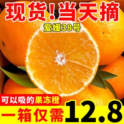 四川爱媛橙38号果冻橙当季薄皮现摘新鲜水果橙手剥橙整箱爆甜多