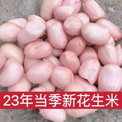 【净重无干燥剂】花生米当季小白沙新鲜无壳油炸商用榨油TT