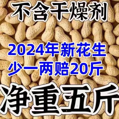 原味熟花生2024年带壳新花生现炒现发散装农家铁锅炒花生坚果