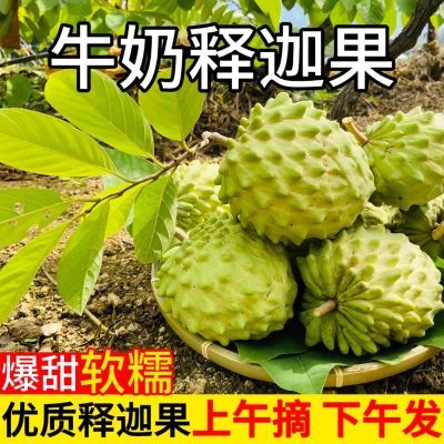 当季凤梨牛奶释迦果新鲜特大果清仓佛头果孕妇水果一整箱批发包邮