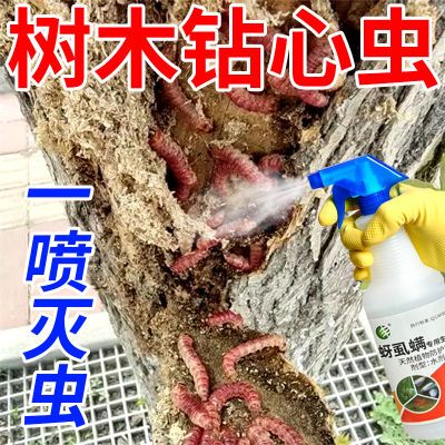 【钻心虫专用】树洞虫钻心虫树干钻树虫蛀虫天牛克星园林果林防虫