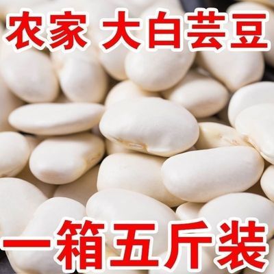 【超低价】云南大白芸豆大白豆正宗白芸豆大扁豆雪豆干货煲汤新货