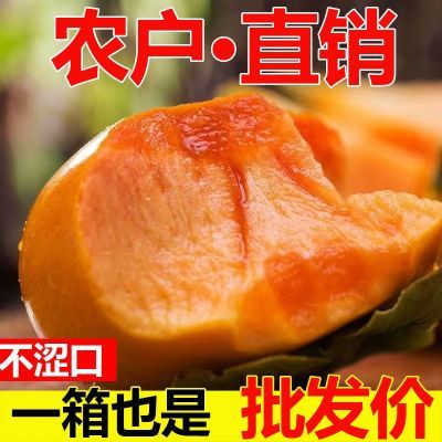 【头茬鲜果】新鲜脆柿子孕妇时令水果甜脆不涩口一整箱大果即食