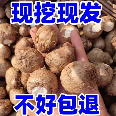 【抢卖一天】24年新鲜沂蒙山新鲜芋艿正宗现挖农家牛奶小芋头包邮