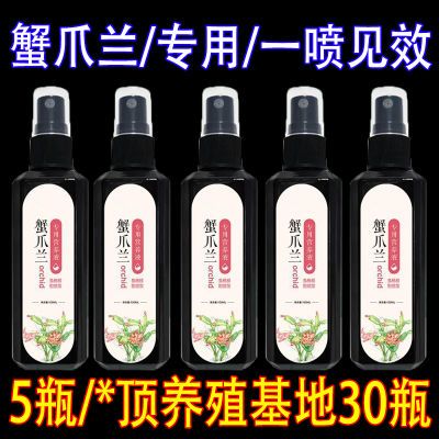 【软烂干瘪】蟹爪兰急救发蔫软烂黄叶不开花壮根液体肥蟹爪兰专用