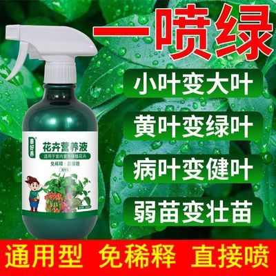 花卉通用型花肥黄叶变绿营养液家用植物直接喷免稀释花卉叶面肥料