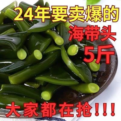 【万人疯抢】新鲜盐渍海带头大连海带绿色昆布根非干货纯天然