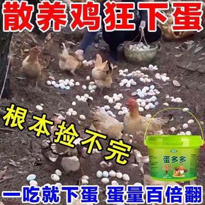 催鸡下蛋鸡鸭鹅禽用蛋多多产蛋灵增蛋素宝灵散软壳蛋鸽子鹌鹑鸡蛋