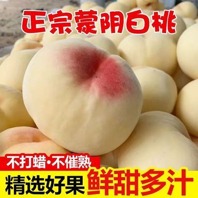 【果园直发】蒙阴新鲜大白桃白如玉孕妇儿童水蜜桃子脆甜秋白桃【5天内发货】