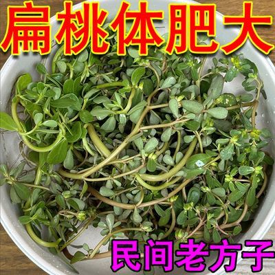 【民间方子】扁桃体肥大扁桃体发炎肿大嗓子干痒痛吞咽困难喷剂Y