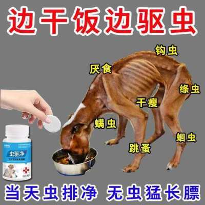 宠物驱虫药驱猫狗厌食不吸收驱虫寄生蛔虫钩虫内外同驱猫狗通用