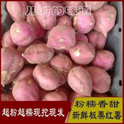 正宗四川红薯农村自种红皮白心和红心红薯应季现挖现发新鲜红薯