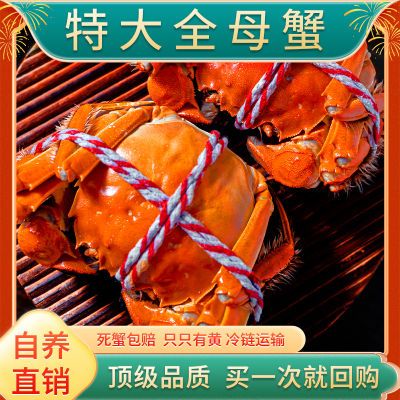 [活蟹]苏州精品大闸蟹6/12只鲜活公母精挑螃蟹海鲜礼盒装去绳净重