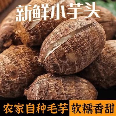 【卖爆了】24年新鲜沂蒙山新鲜芋艿正宗现挖农家牛奶小芋头包邮