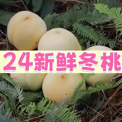 【24新鲜冬桃】湖南麻阳冬桃雪桃白桃香脆甜新鲜水果当季整箱5斤【5天内发货】