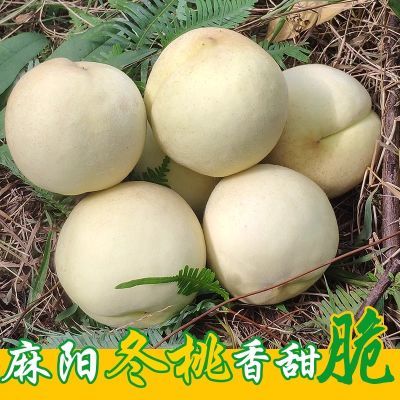 【脆甜冬桃】湖南麻阳冬桃雪桃白桃香脆甜新鲜水果当季包邮一整箱【5天内发货】