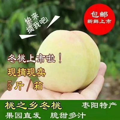 【脆甜冬桃】现摘湖北枣阳脆蜜桃超甜新鲜孕妇水果套袋精品甜冬桃【5天内发货】