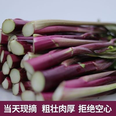 2024抢鲜红菜苔湖北当季农家新鲜紫菜苔自种农家特产蔬菜当天现摘