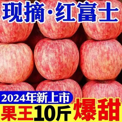 24年新树果尝鲜】高原红富士苹果当季新鲜冰糖心水果整箱产地现摘