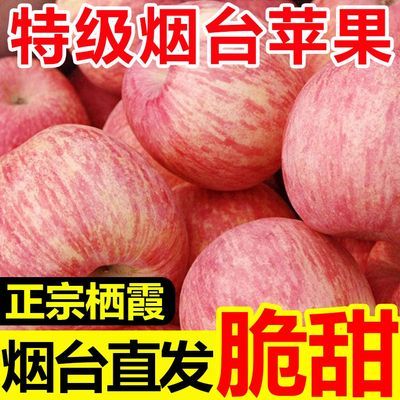 【正宗】山东烟台栖霞红富士苹果新鲜脆甜冰糖心苹果整箱批发