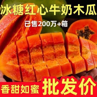 现摘冰糖红心木瓜应季当季青皮木瓜牛奶木瓜新鲜水果整箱批发包邮