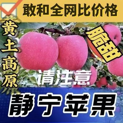 甘肃静宁红富士苹果产地直发新鲜脆甜现摘水果批发整箱包邮正品