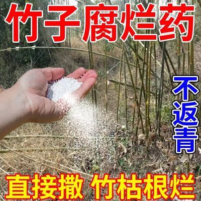 强效打竹子去竹根大竹杂竹清竹杂草灌木农用除草剂四季通用环嗪酮