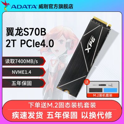 ڲXPGS70B 2TB SSD ̨ʽʼǱԹ̬Ӳ m.2 nvme869Ԫ