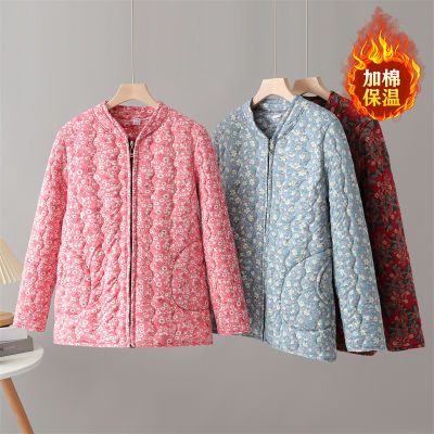 ڲѩůŮ2024궬Ů޼Ӻްɱů޷ 47.4Ԫ