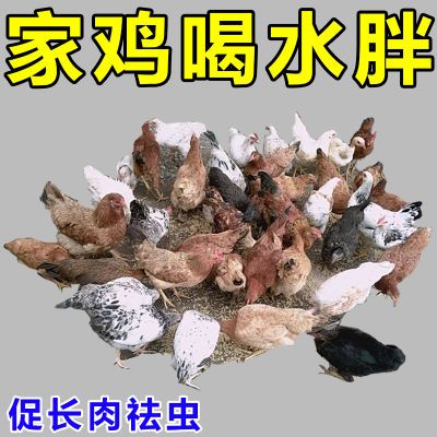 【鸡喝水胖】肉鸡催肥增重鸡鸭鹅禽用增采食开胃驱虫促生长消化用