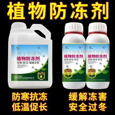 植物防冻剂抗寒防寒防冻液防冻叶面肥油菜大蒜果树蔬菜专用防冻剂