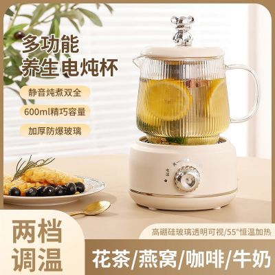 迷你养生壶家用多功能煮茶壶办公室全玻璃壶花茶壶单人小型电炖杯