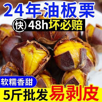 小油栗2024年现摘丹东油板栗野生小毛栗新鲜板栗迁西板栗品种锥栗