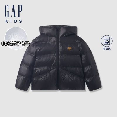 ڲGapͯﶬlogo浲ñ޷ͯװ612218376.99Ԫ