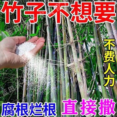 强效打竹子去竹根大竹杂竹清竹杂草灌木农用除草剂四季通用环嗪酮