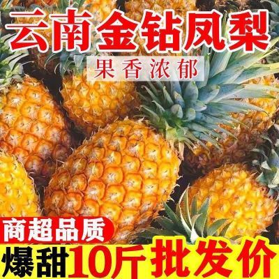 云南直发正宗云南金钻凤梨17号甜蜜蜜手撕冬蜜凤梨新鲜水果非菠萝