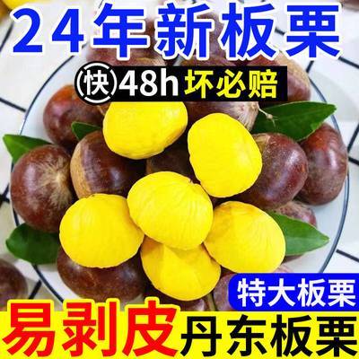 【6斤特价】现摘丹东板栗生栗子新鲜有机栗子油栗锥蔬菜半斤批发