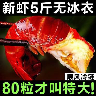 【特大无冰衣】龙虾尾无冰特大号虾尾去头龙虾尾新鲜活小龙虾冷冻